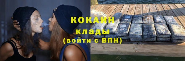 хмурый Алзамай