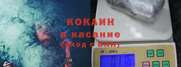 шишки Алексин