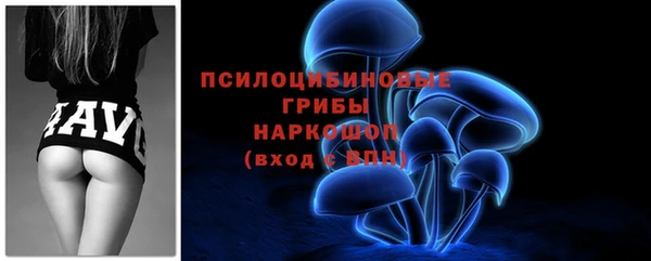 шишки Алексин