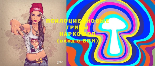 хмурый Алзамай